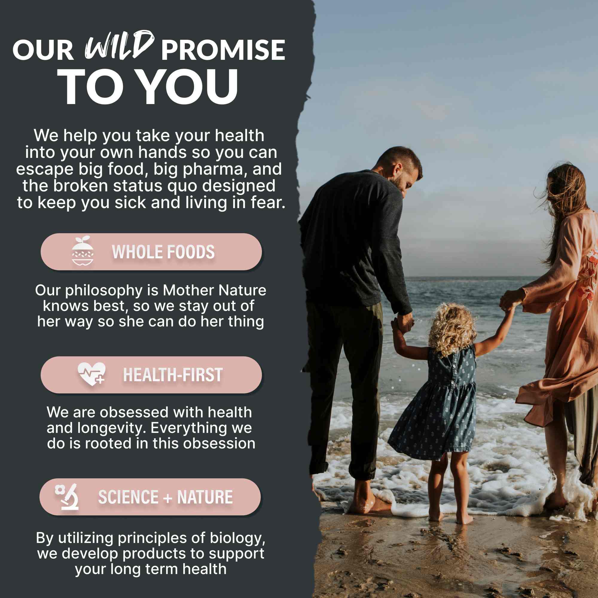 Himalayan Pink Salt – Mineral-Rich Gourmet Salt for Flavor & Health