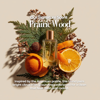 Cleaning Starter Kit