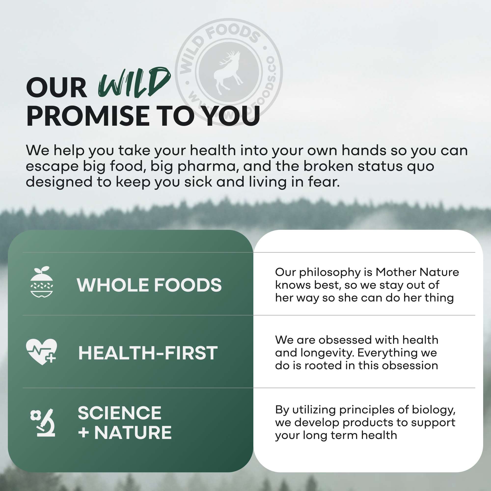 Prebiotics & Probiotics – Gut Health & Digestion Support