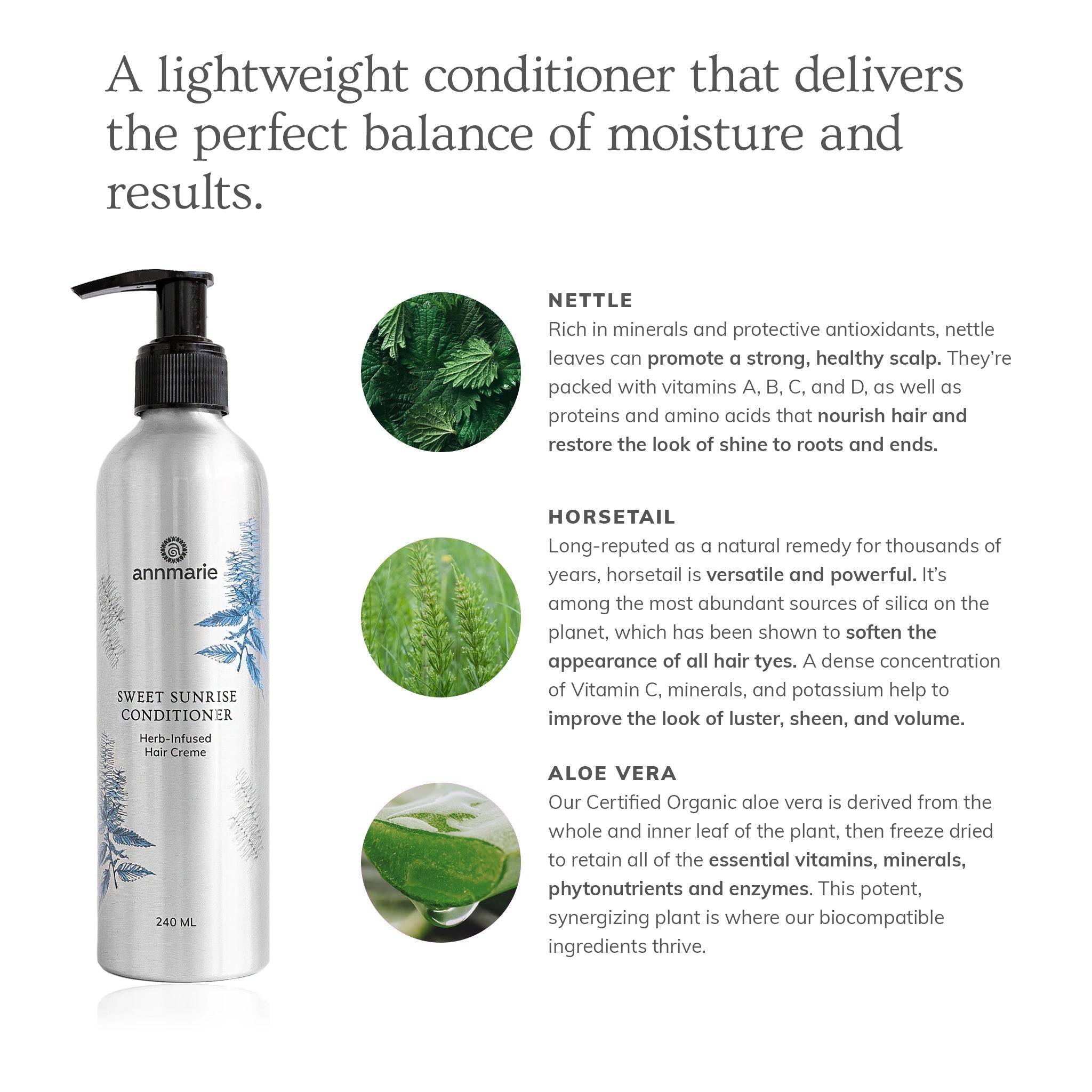 Sweet Sunrise Conditioner