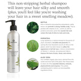 Sweet Sunrise Shampoo