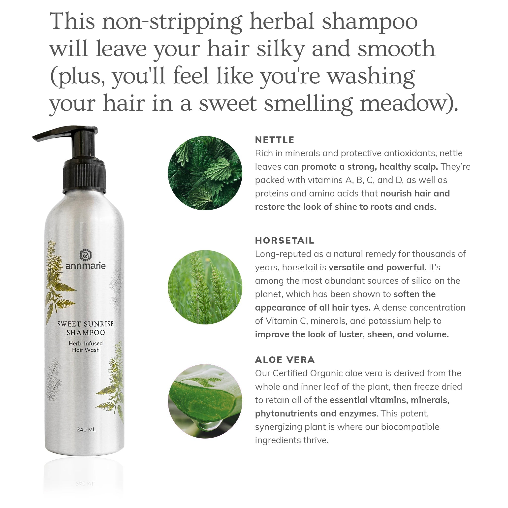 Sweet Sunrise Shampoo