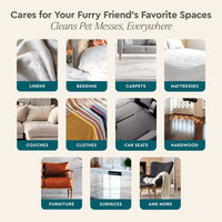 Pet Stain & Odor Remover