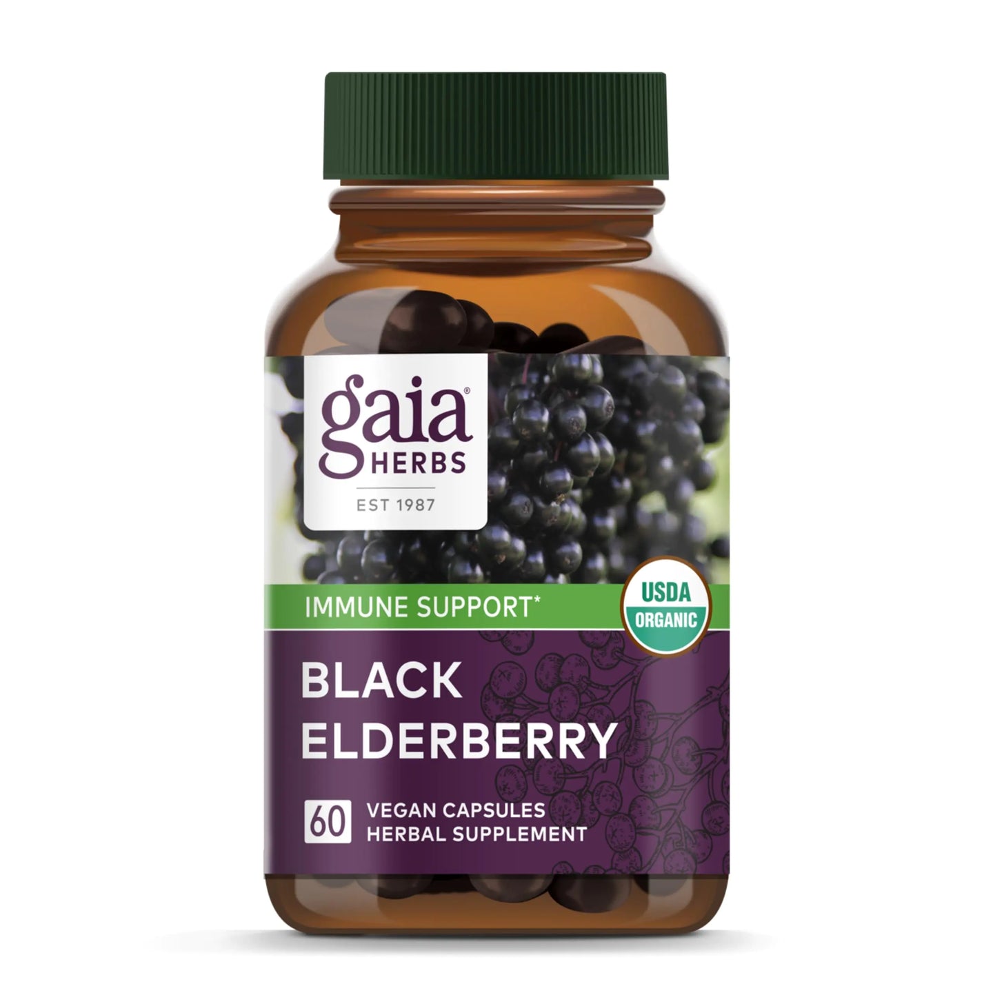 Black Elderberry, 30 Servings