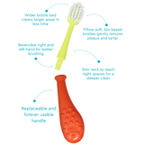 Big Kidz® Replaceable Head Forever Toothbrush® (6yrs+)