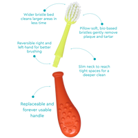 Big Kidz® Replaceable Head Forever Toothbrush® (6yrs+)