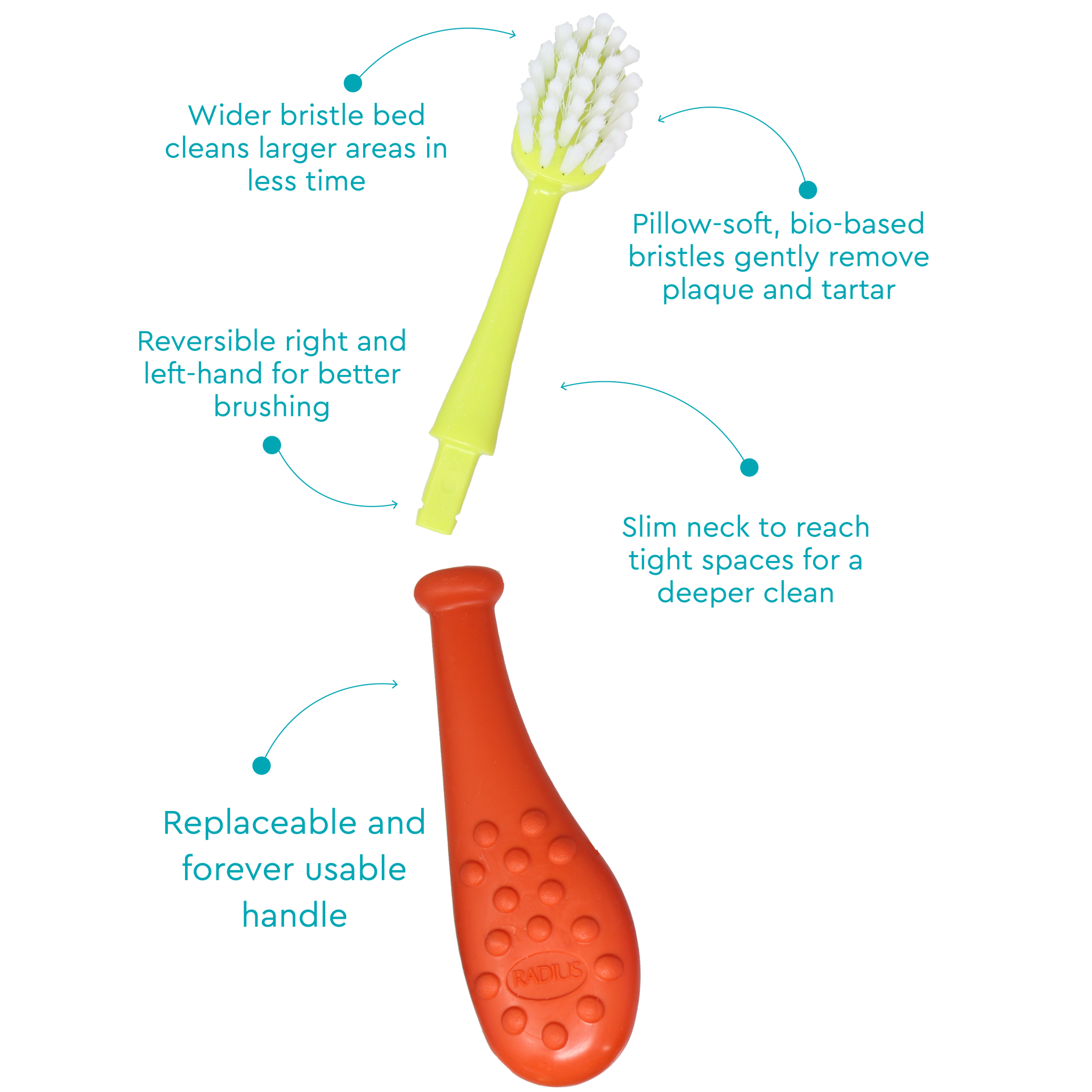 Big Kidz® Replaceable Head Forever Toothbrush® (6yrs+)