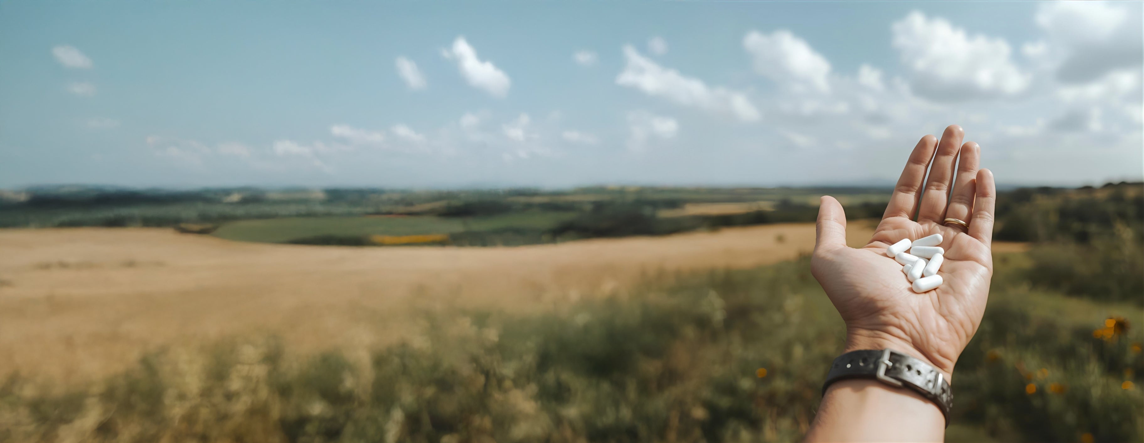 Hand holding pills with a scenic background of fields and sky