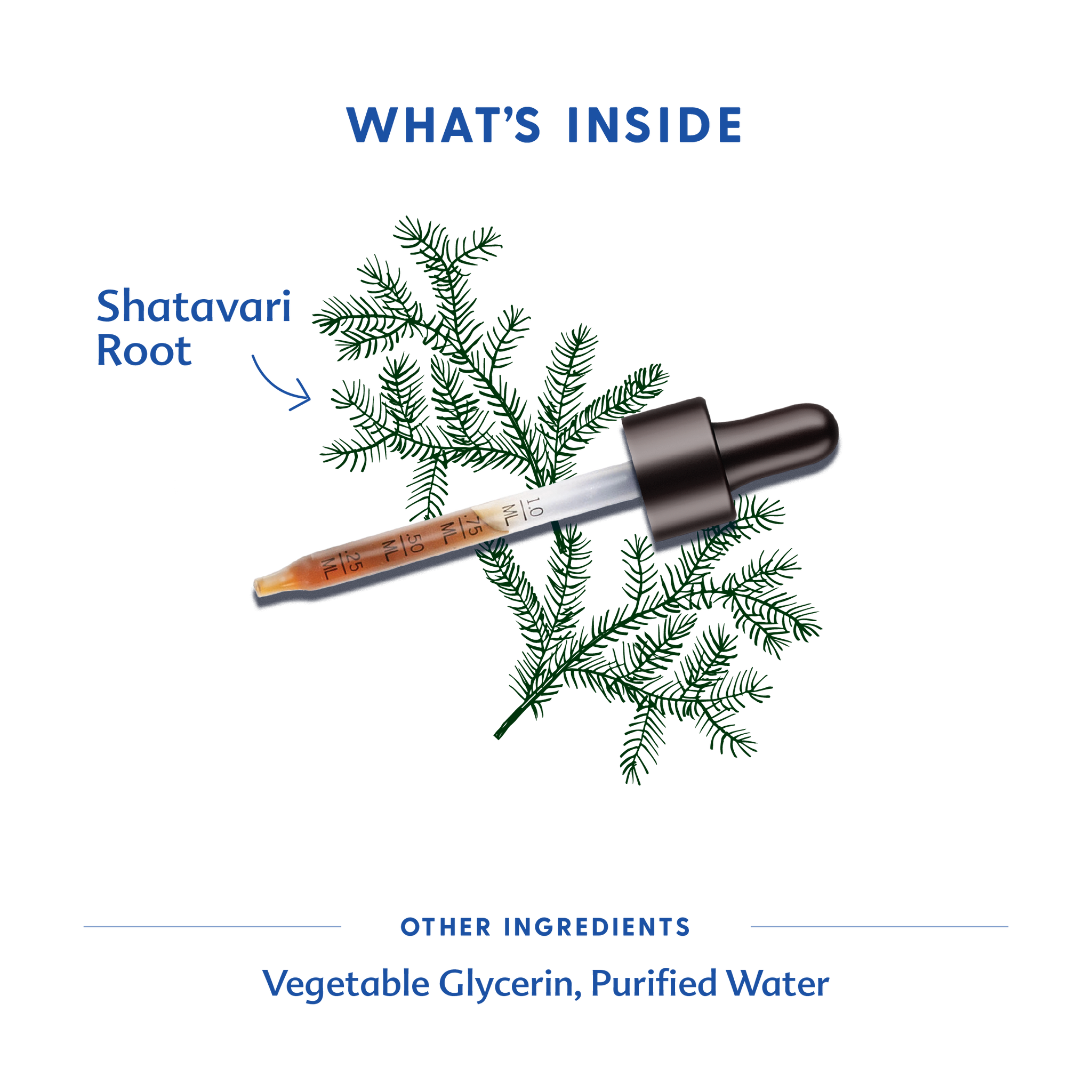 Shatavari - Tincture