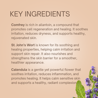 Skin Salve Organic | Burn + Diaper Rash