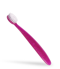 Totz® Toothbrush (18 mo+)