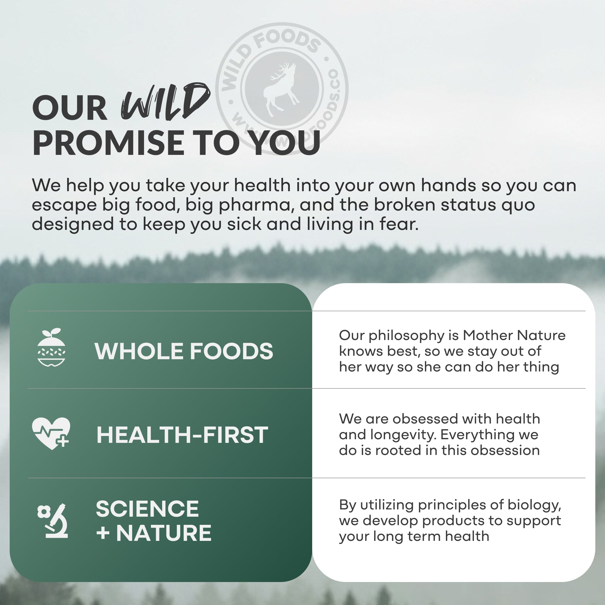 Wild Triple-Magnesium Complex & L Theanine
