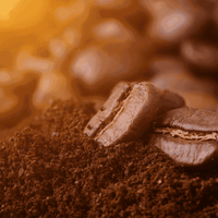 Rainforest Organic Espresso Blend