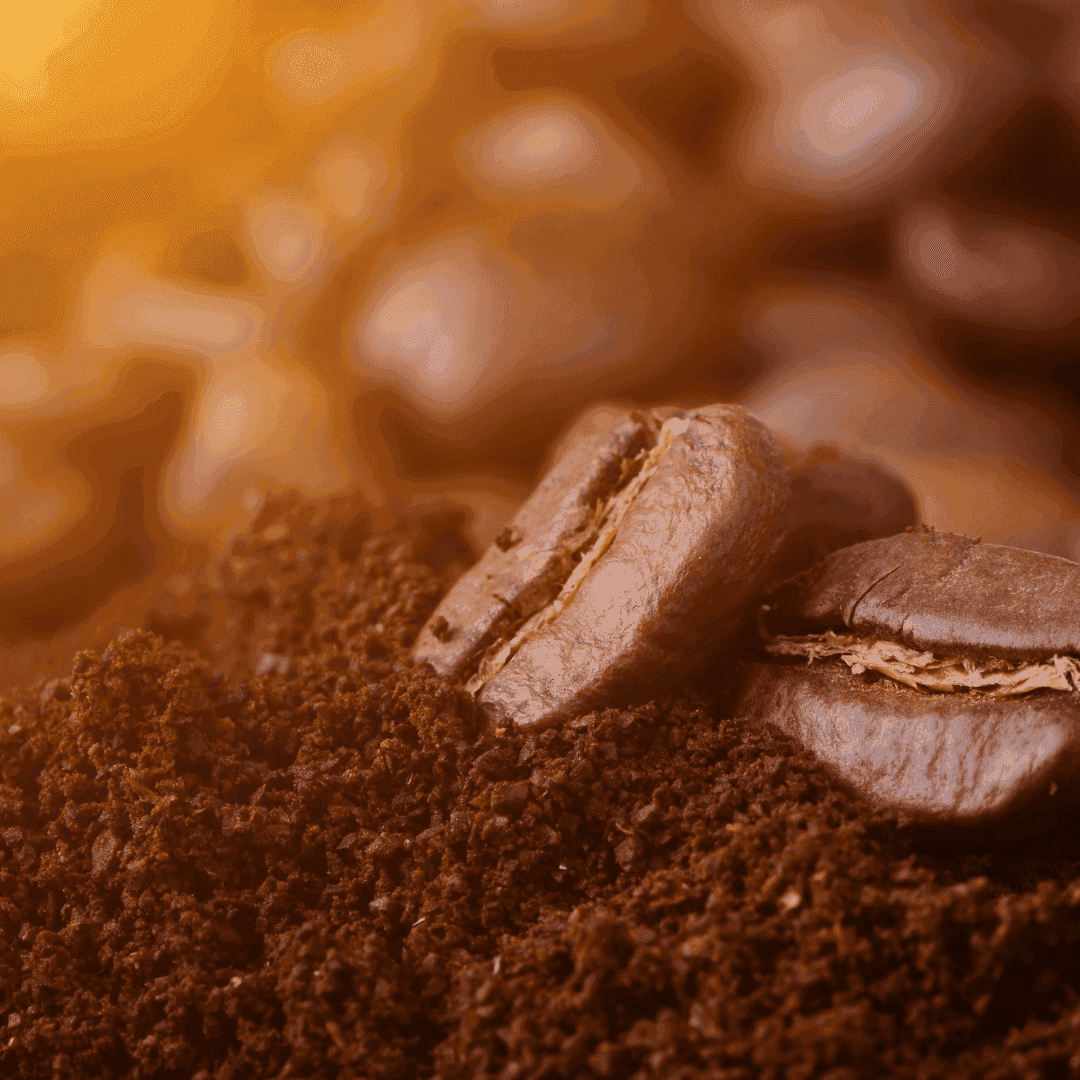 Rainforest Organic Espresso Blend