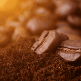 Day Glow Organic Coffee | Guatemalan