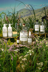 Coconut Conditioner | Wild Flowers