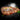 Sampler Bison Bundle