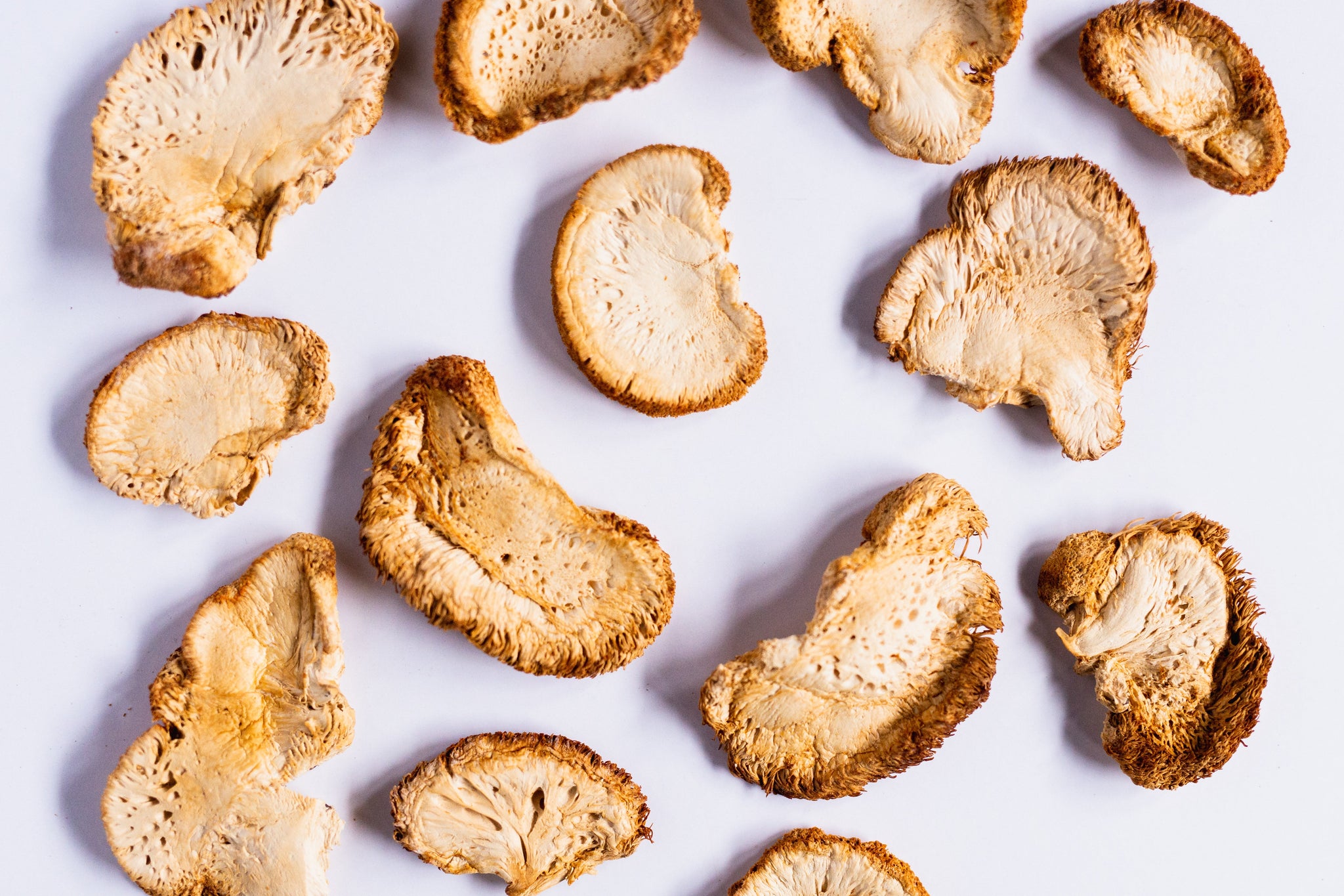 Organic Lion's Mane Mushroom Powder