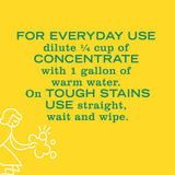 Honeysuckle Multi-Surface Concentrate