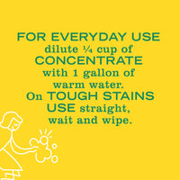 Honeysuckle Multi-Surface Concentrate