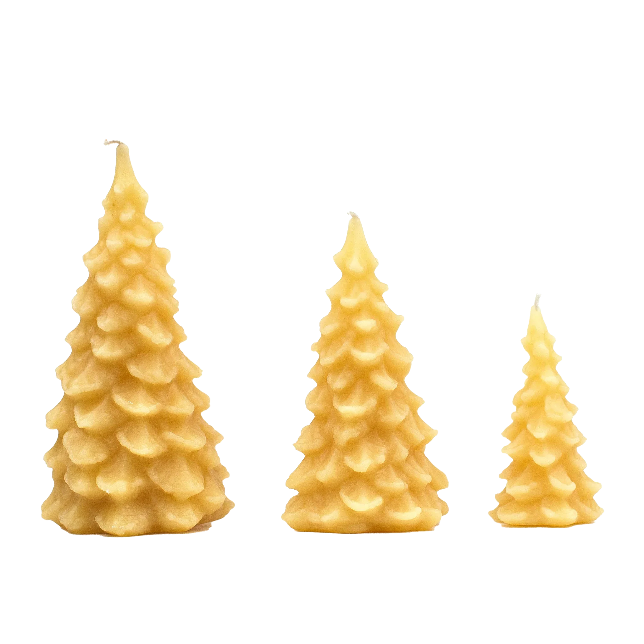 Beeswax Christmas Tree Candle