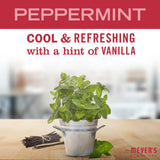 Peppermint Multi-Surface Everyday Cleaner - 6 Pack