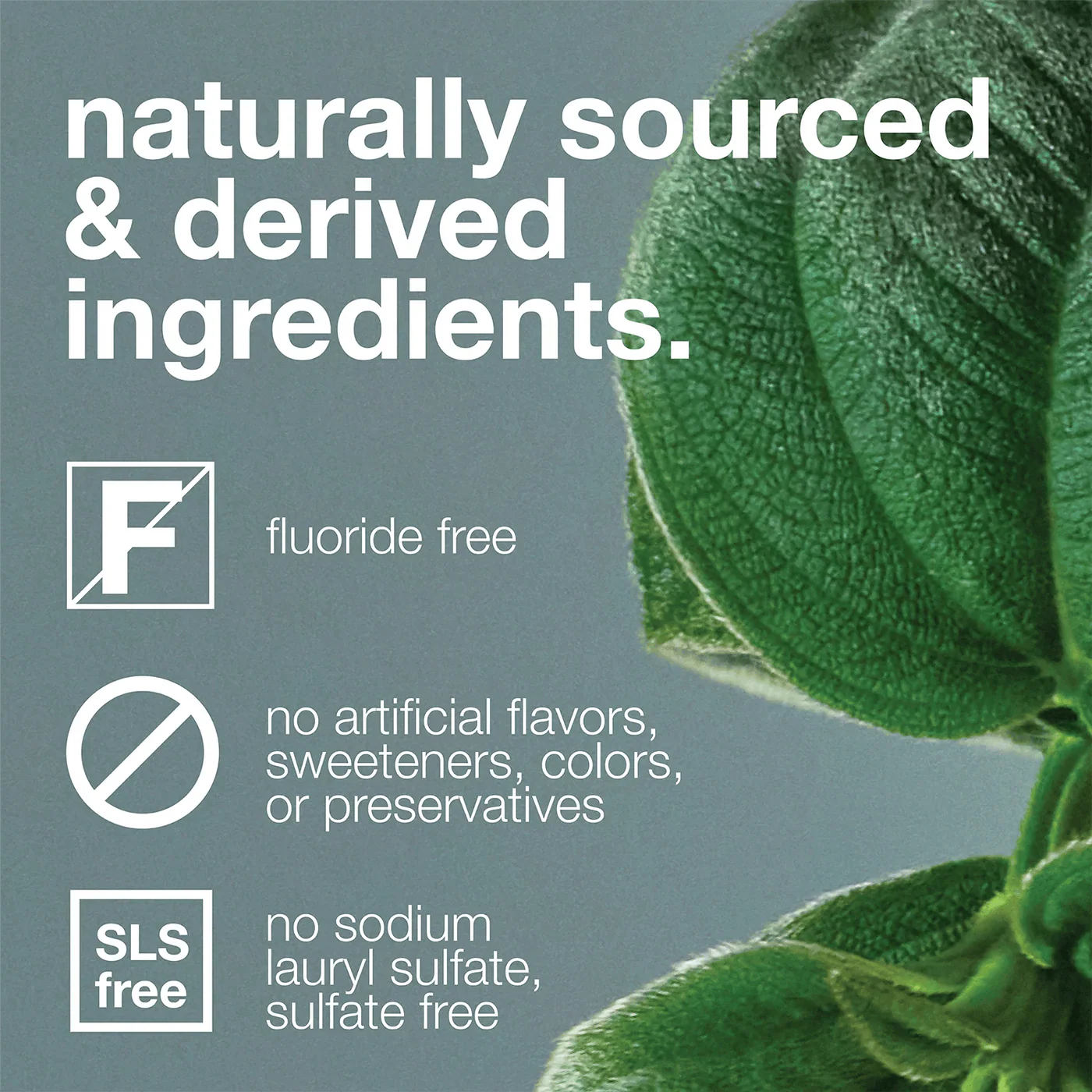 Whitening Antiplaque Fluoride-Free Peppermint Toothpaste - 3 Pack