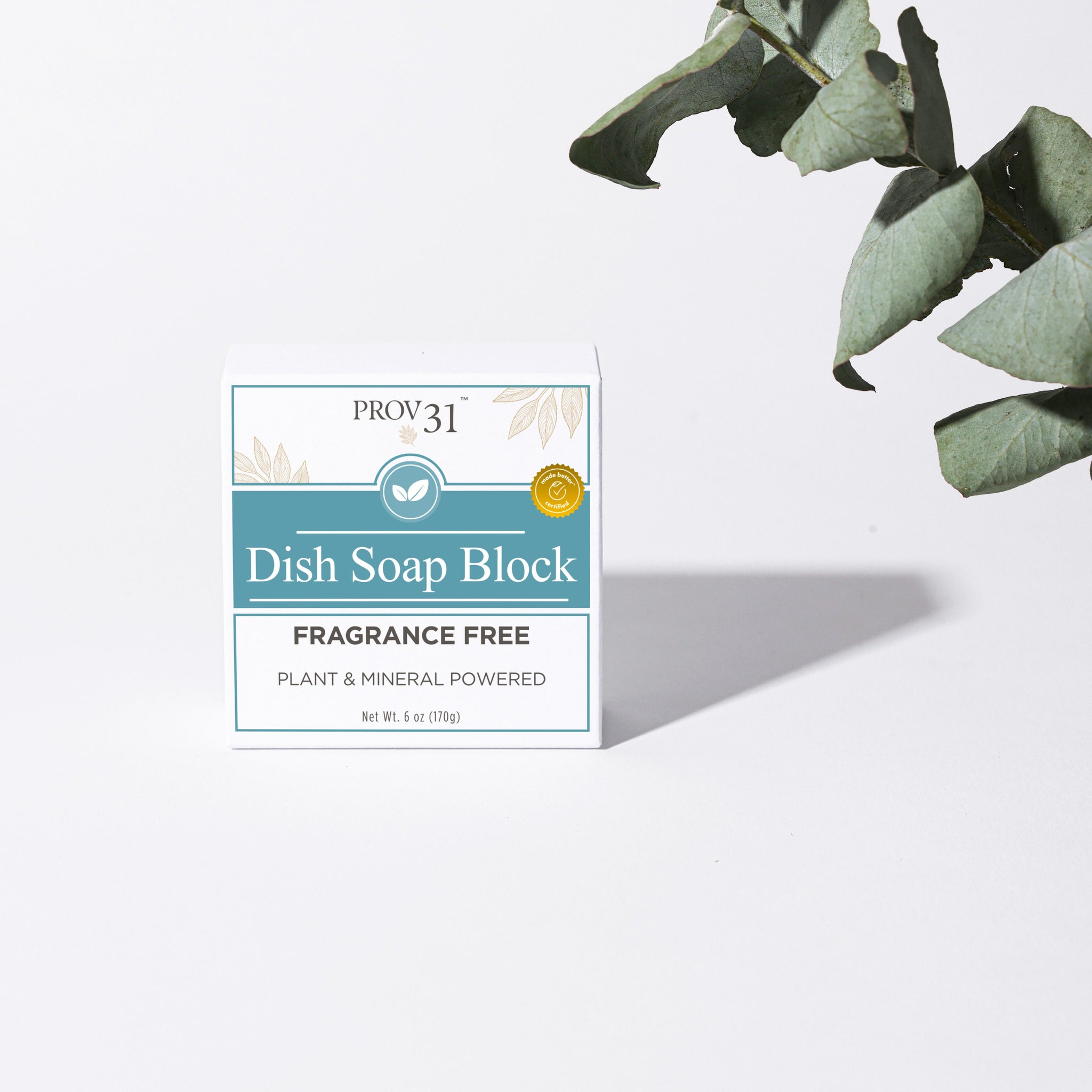 Dish & Laundry Soap Block