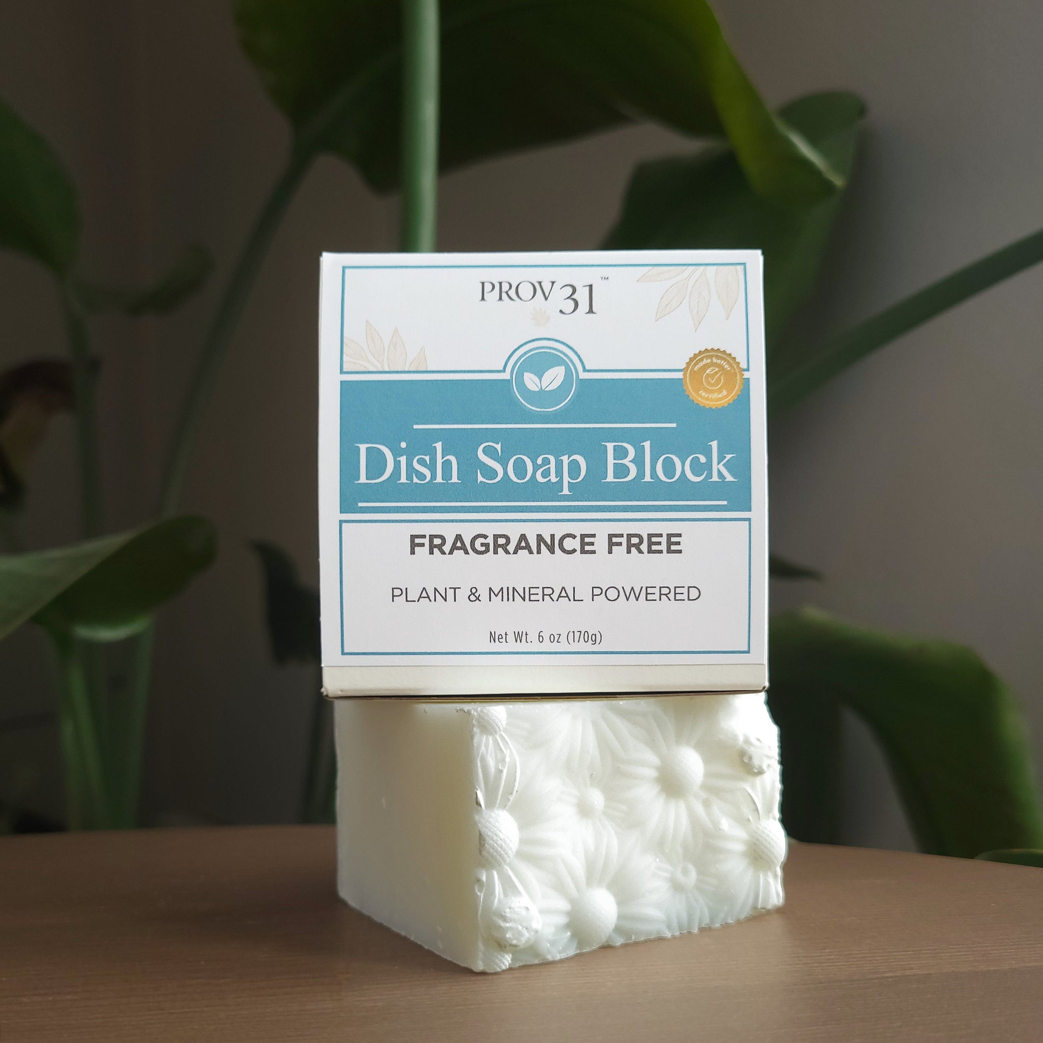 Dish & Laundry Soap Block