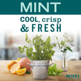 Mint Dish Soap - 6 Pack