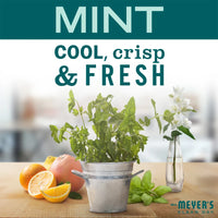Mint Dish Soap - 6 Pack