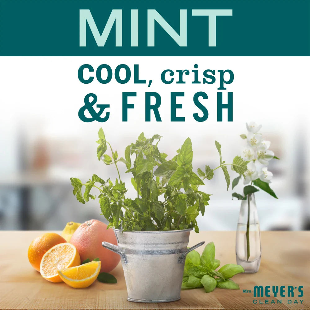Mint Dish Soap - 6 Pack