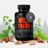 Focus Nootropic Blend – Cognitive Support for Memory & Focus