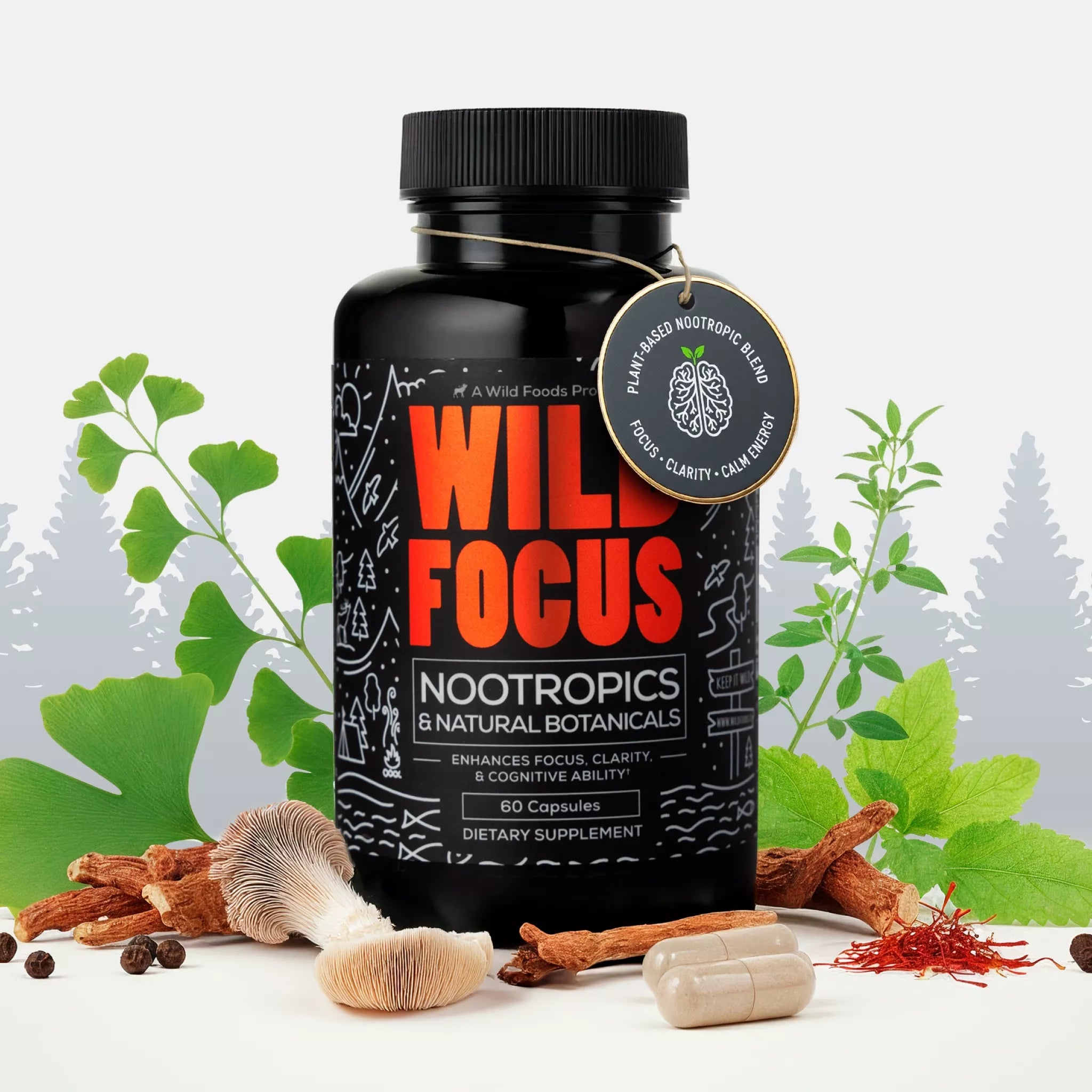 Focus Nootropic Blend – Cognitive Support for Memory & Focus