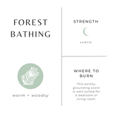 Forest Bathing Soy Wax Candle | Fir + Pine + Patchouli