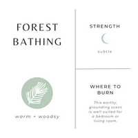 Forest Bathing Soy Wax Candle | Fir + Pine + Patchouli