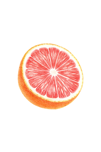 Dish Soap | Pink Grapefruit