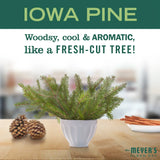 Iowa Pine Dish Soap - 6 Pack
