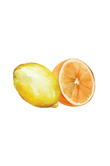 Hand Soap | Citrus Bliss