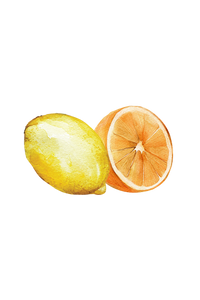 Hand Soap | Citrus Bliss