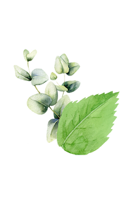 Epsom Salt Soak | Mint & Eucalyptus