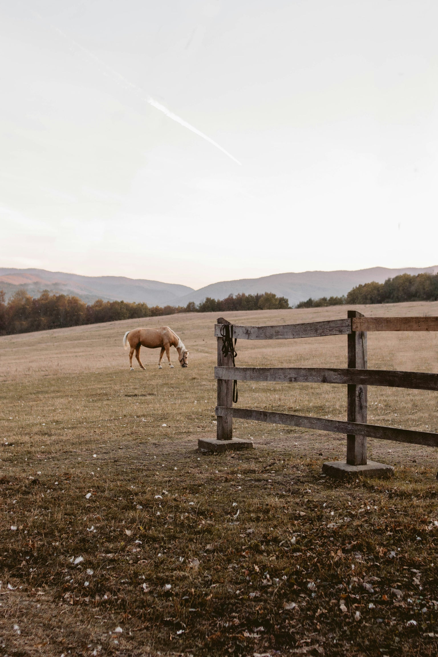 Horse grazing in a field with a wooden fence and distant hills.