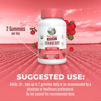 Organic Cranberry Gummies, 30 Servings