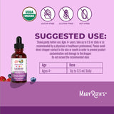 Organic Kids Elderberry Liquid Drops, 60 Servings