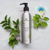 Sweet Sunrise Shampoo