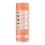 Sparkling Peach Tea – 12 Pack