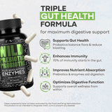 Prebiotics & Probiotics – Gut Health & Digestion Support