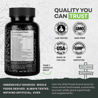 Prebiotics & Probiotics – Gut Health & Digestion Support