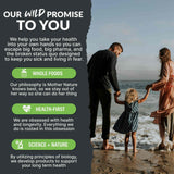 Prebiotics & Probiotics – Gut Health & Digestion Support