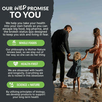 Prebiotics & Probiotics – Gut Health & Digestion Support